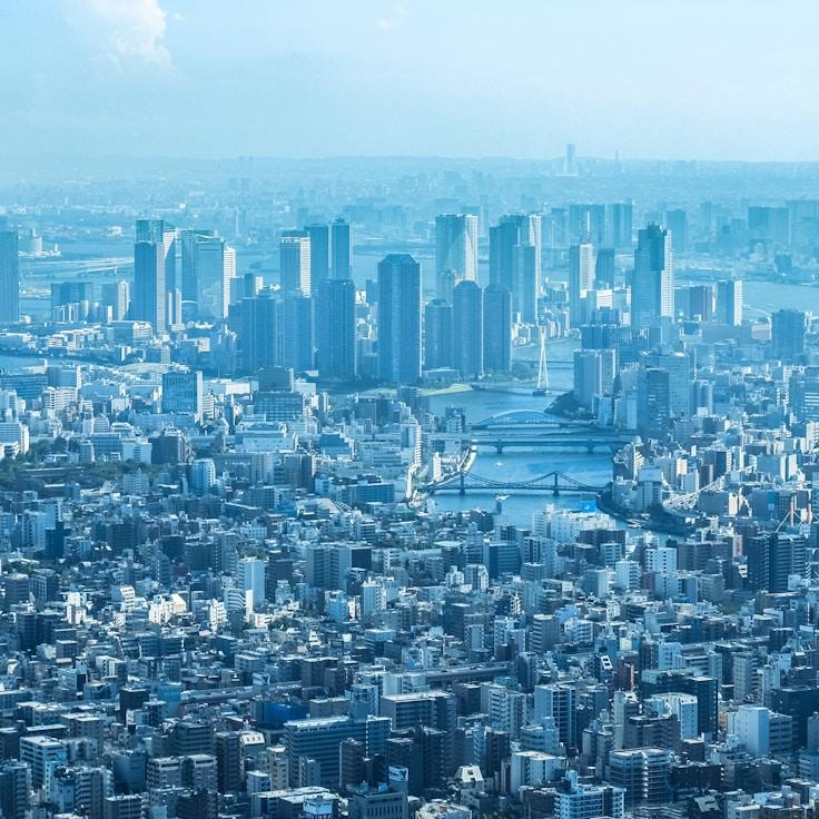 Family routine and school logistics in Lisbon